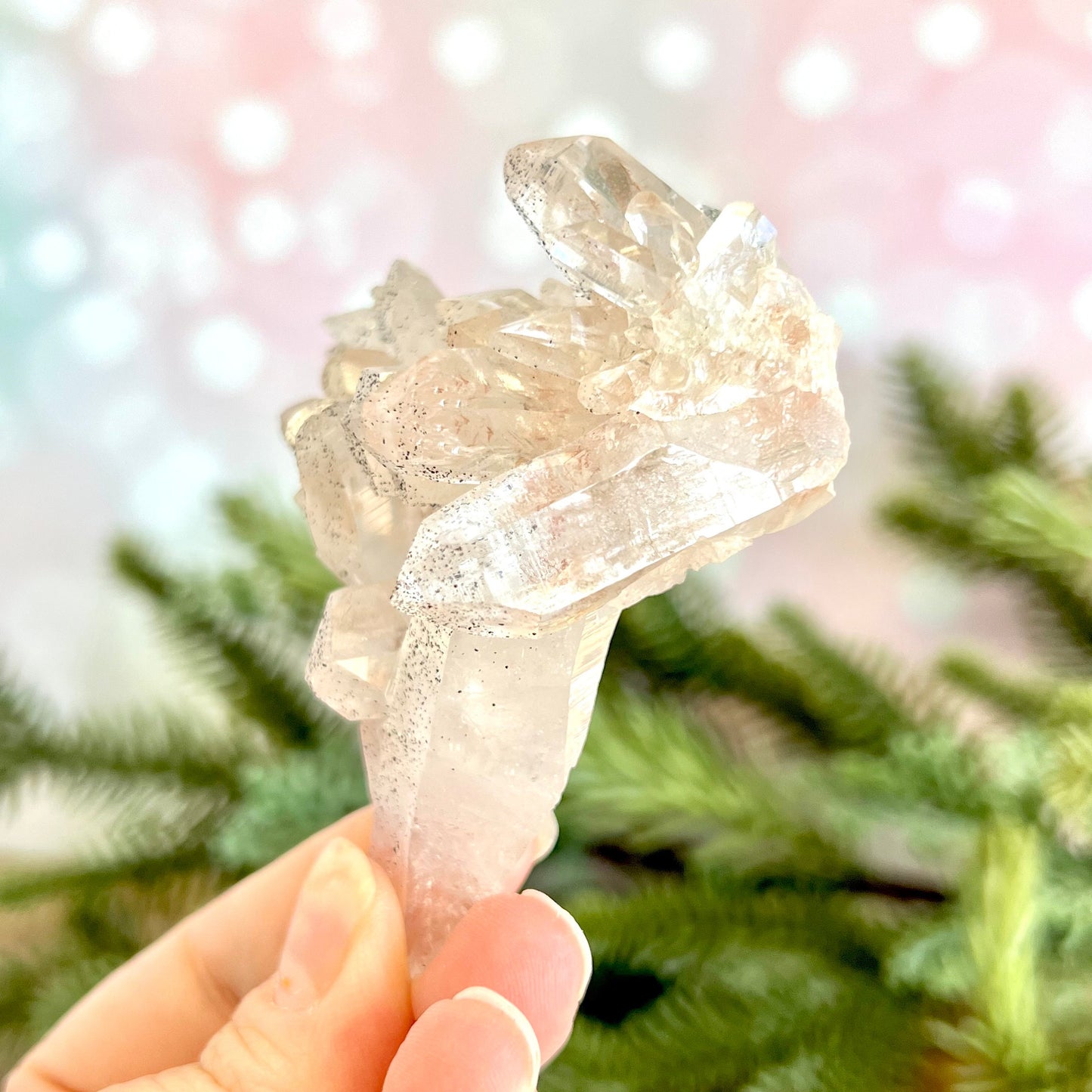 Close up of a Himalayan Quartz crystal cluster covered with small pinprick inclusions of Black Hematite.