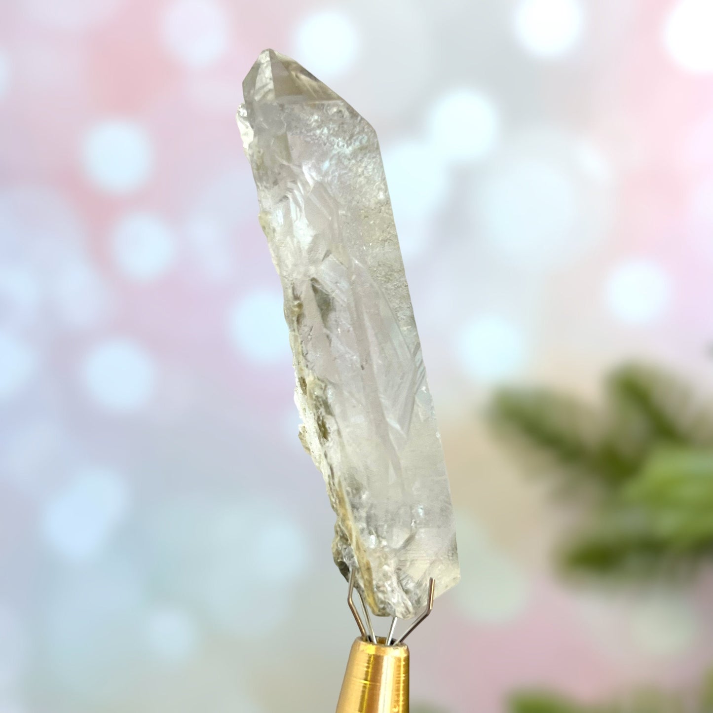 Close up of a small garden Quartz crystal point with chlorite inclusions. This mineral specimen is also called Lodolite, and is natural.