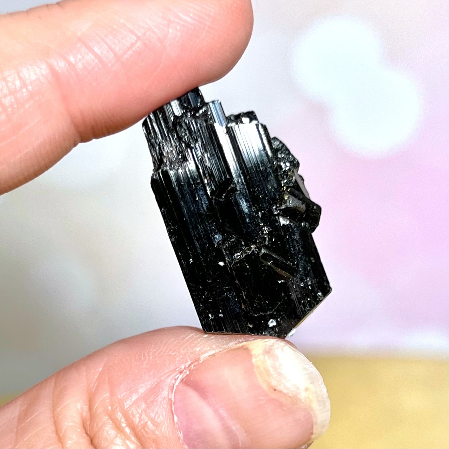 Black Tourmaline Specimen with Terminated Tip