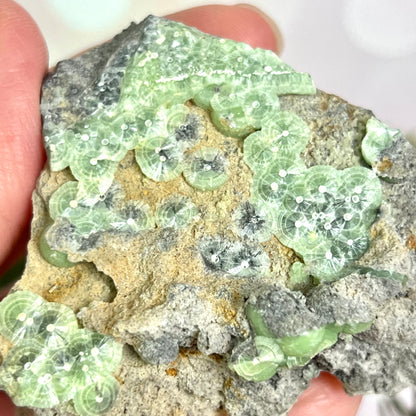 Wavellite Crystal Specimen