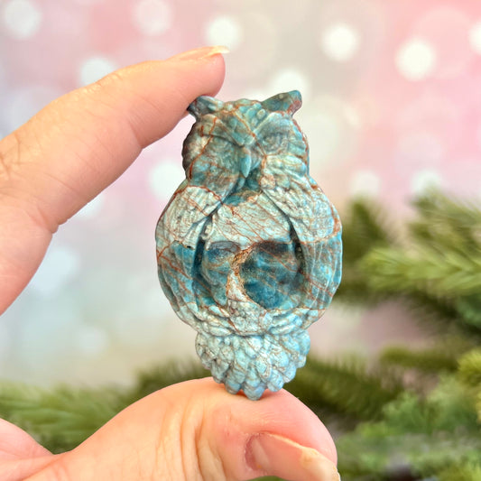 Apatite Owl on Skull Carved Cabochon