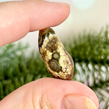 Gobi Desert Agate Natural Nodule