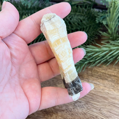 Zebra Calcite Yellow & Gray Natural Raw Crystal