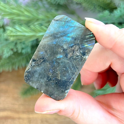 Labradorite Aries Carved Cabochon