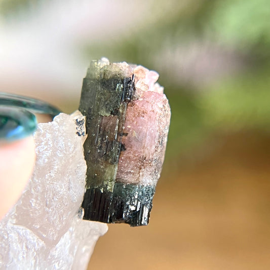 Watermelon Tourmaline on Milky Quartz Crystal Specimen