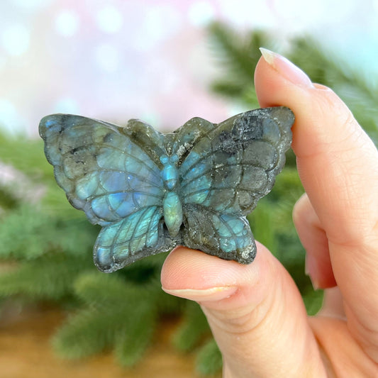 Labradorite Butterfly Carved Cabochon