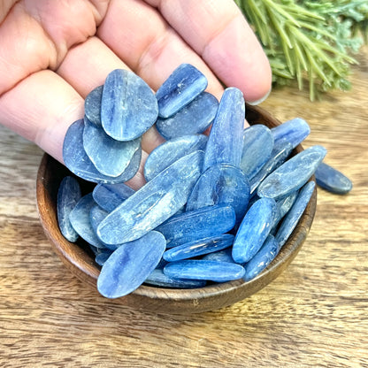 Kyanite Tumbled Crystal Blade