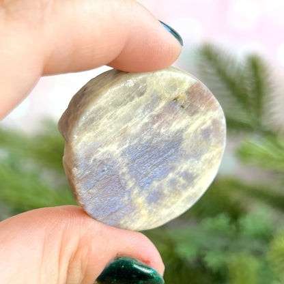 Belomorite Sunstone in Moonstone Wolf Carved Crystal Cabochon