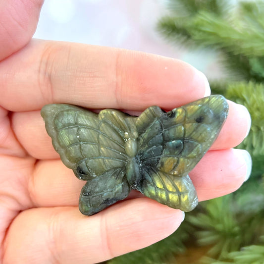 Labradorite Butterfly Carved Cabochon