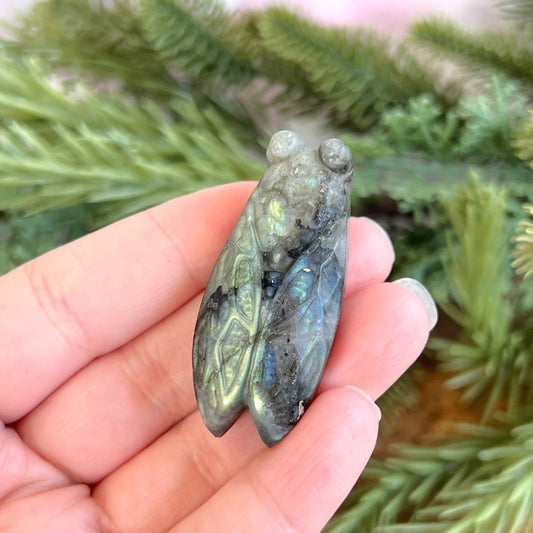 Labradorite Cicada Carved Crystal Cabochon