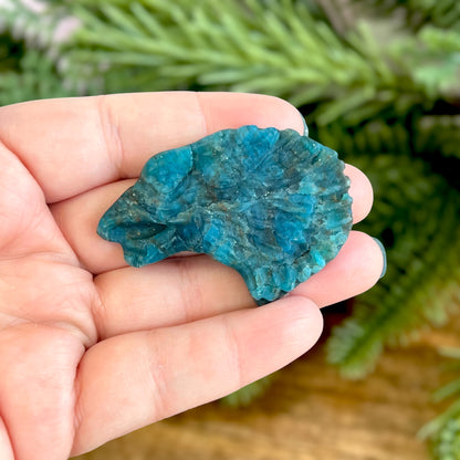 Eagle Blue Apatite Carved Cabochon