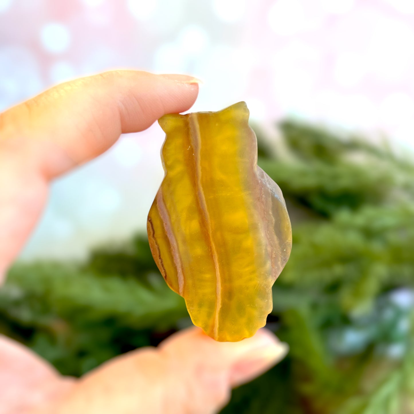 Yellow Fluorite Owl on Skull Carved Crystal Cabochon