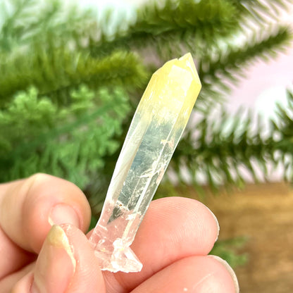 Mango Quartz Crystal Point with Halloysite Inclusions