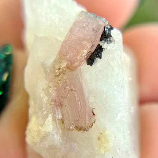 Watermelon Tourmaline on Milky Quartz Crystal Specimen