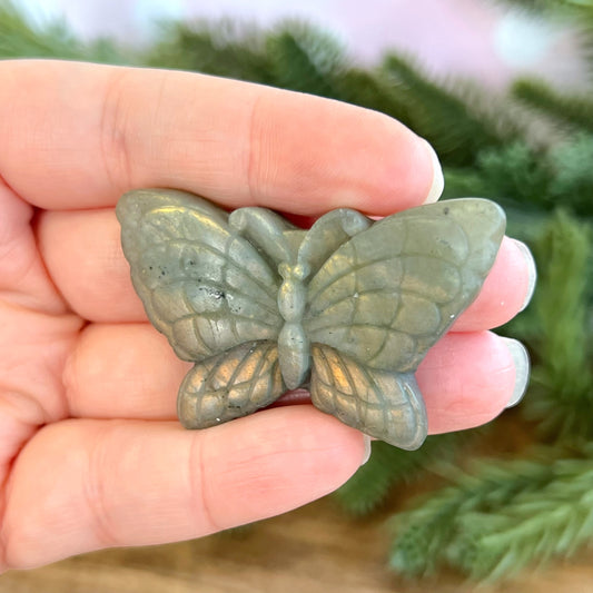 Labradorite Butterfly Carved Cabochon