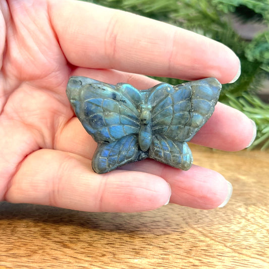 Labradorite Butterfly Carved Cabochon