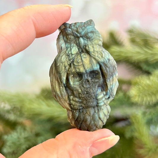 Owl on Skull Labradorite Crystal Carved Cabochon