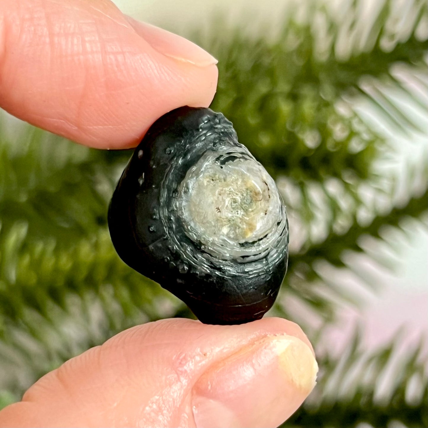 Gobi Desert Agate Natural Nodule