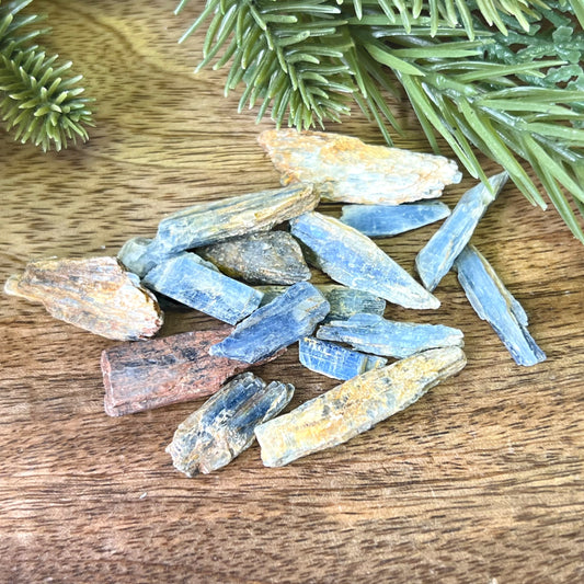 Kyanite Blade Rough Crystal Set 1 oz