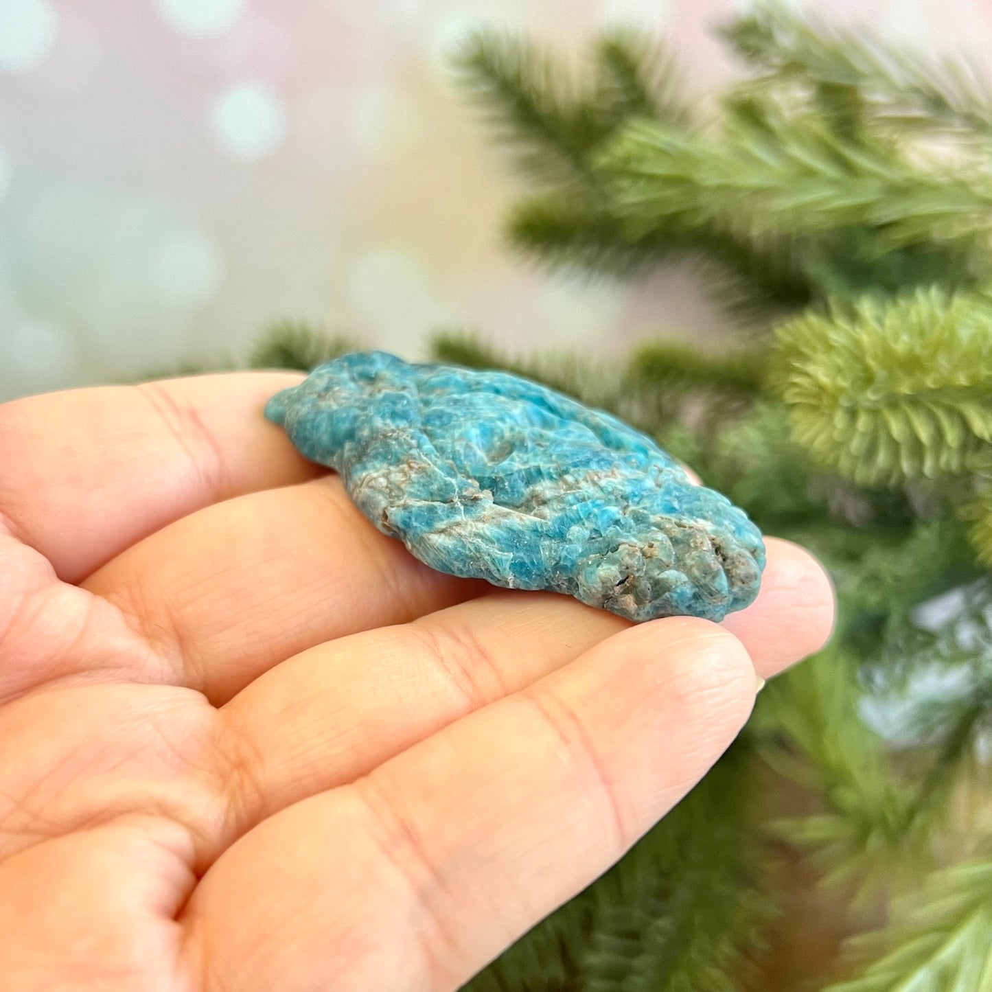 Apatite Owl on Skull Carved Cabochon