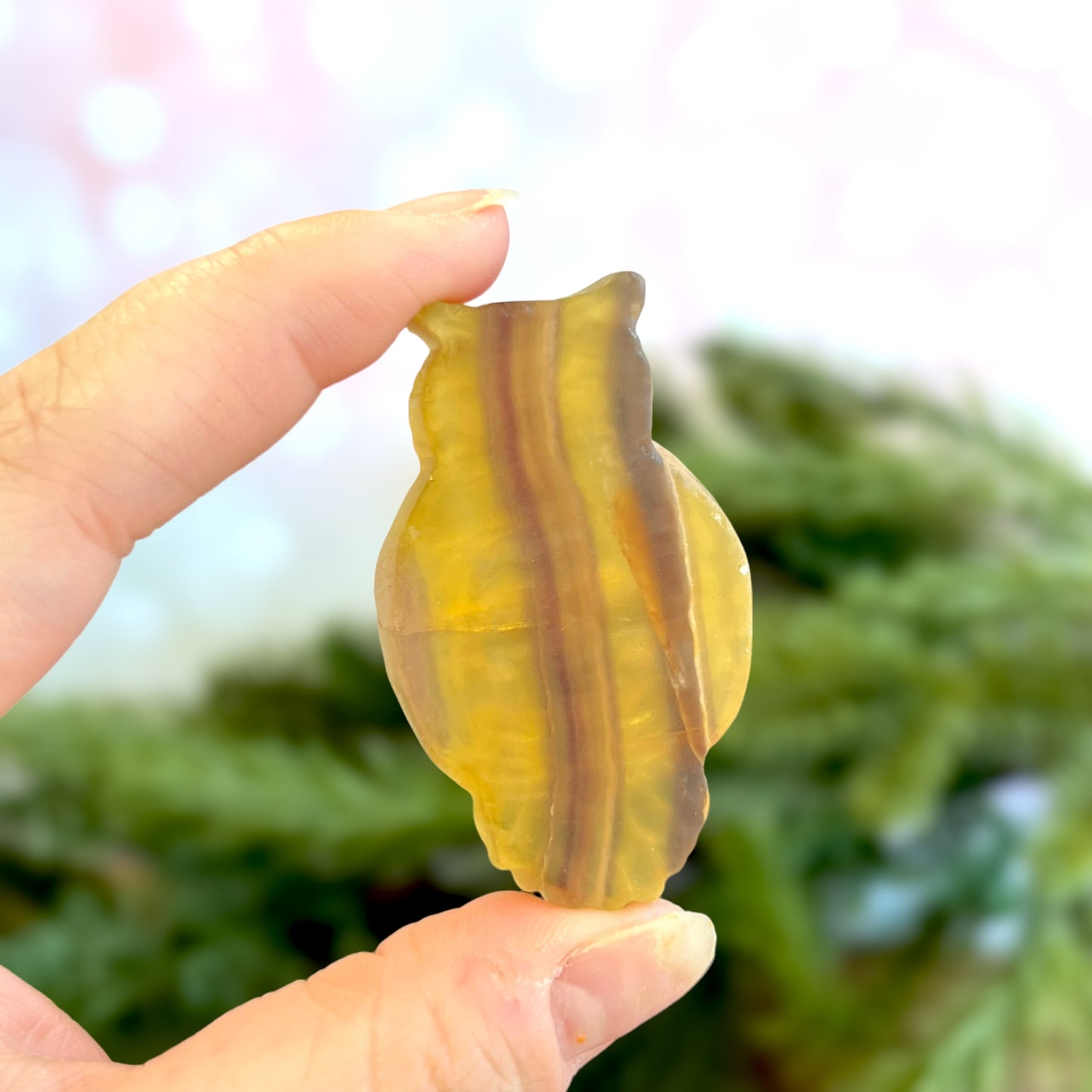 Yellow Fluorite Owl on Skull Carved Crystal Cabochon