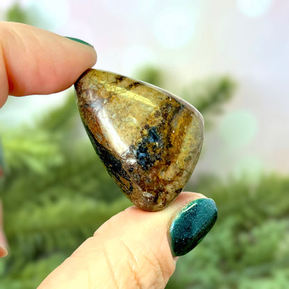 Pietersite Large Tumbled Crystal