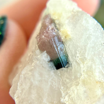 Watermelon Tourmaline on Milky Quartz Crystal Specimen