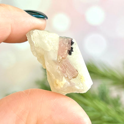 Watermelon Tourmaline on Milky Quartz Crystal Specimen