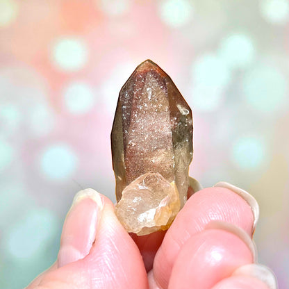 Orange River Quartz Point Crystal