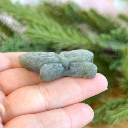 Labradorite Butterfly Carved Cabochon