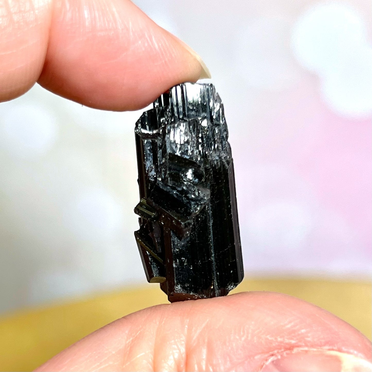 Black Tourmaline Specimen with Terminated Tip