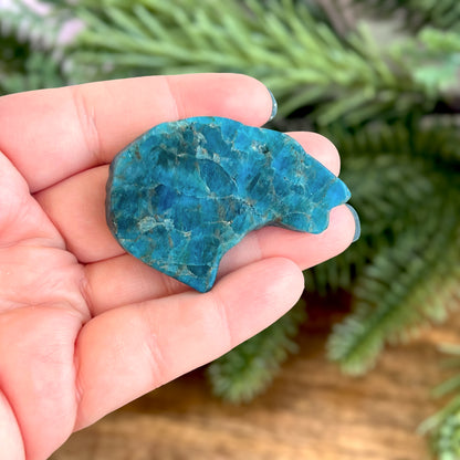 Eagle Blue Apatite Carved Cabochon