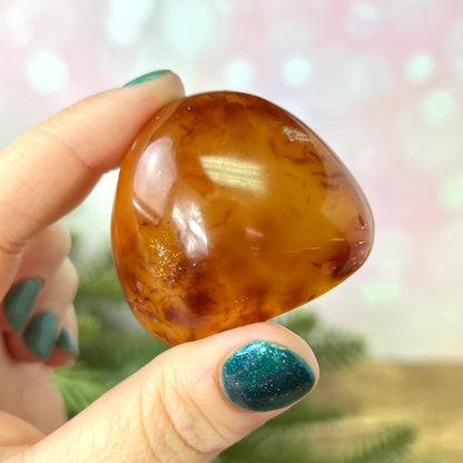 Carnelian with Druzy Palm Stone