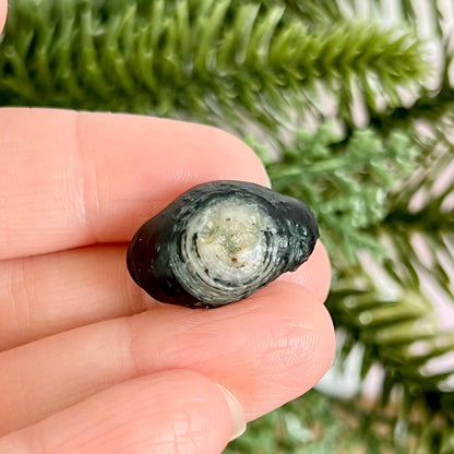 Gobi Desert Agate Natural Nodule