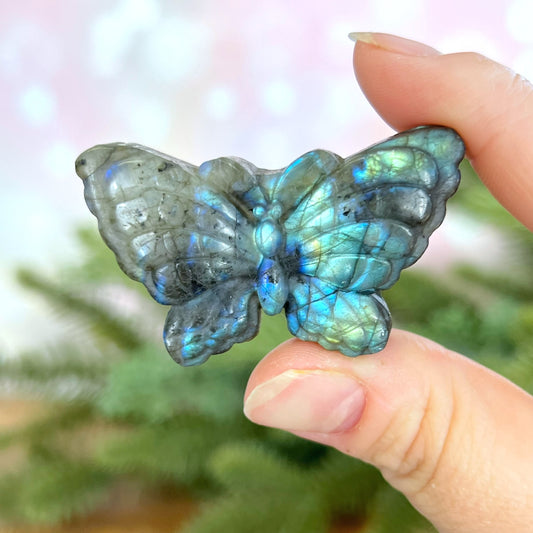 Labradorite Butterfly Carved Cabochon