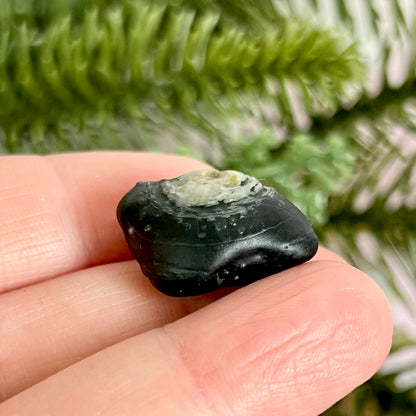 Gobi Desert Agate Natural Nodule