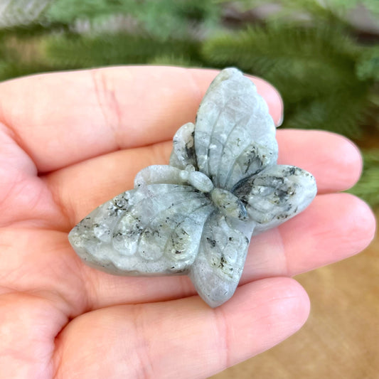 Labradorite Butterfly Carved Cabochon