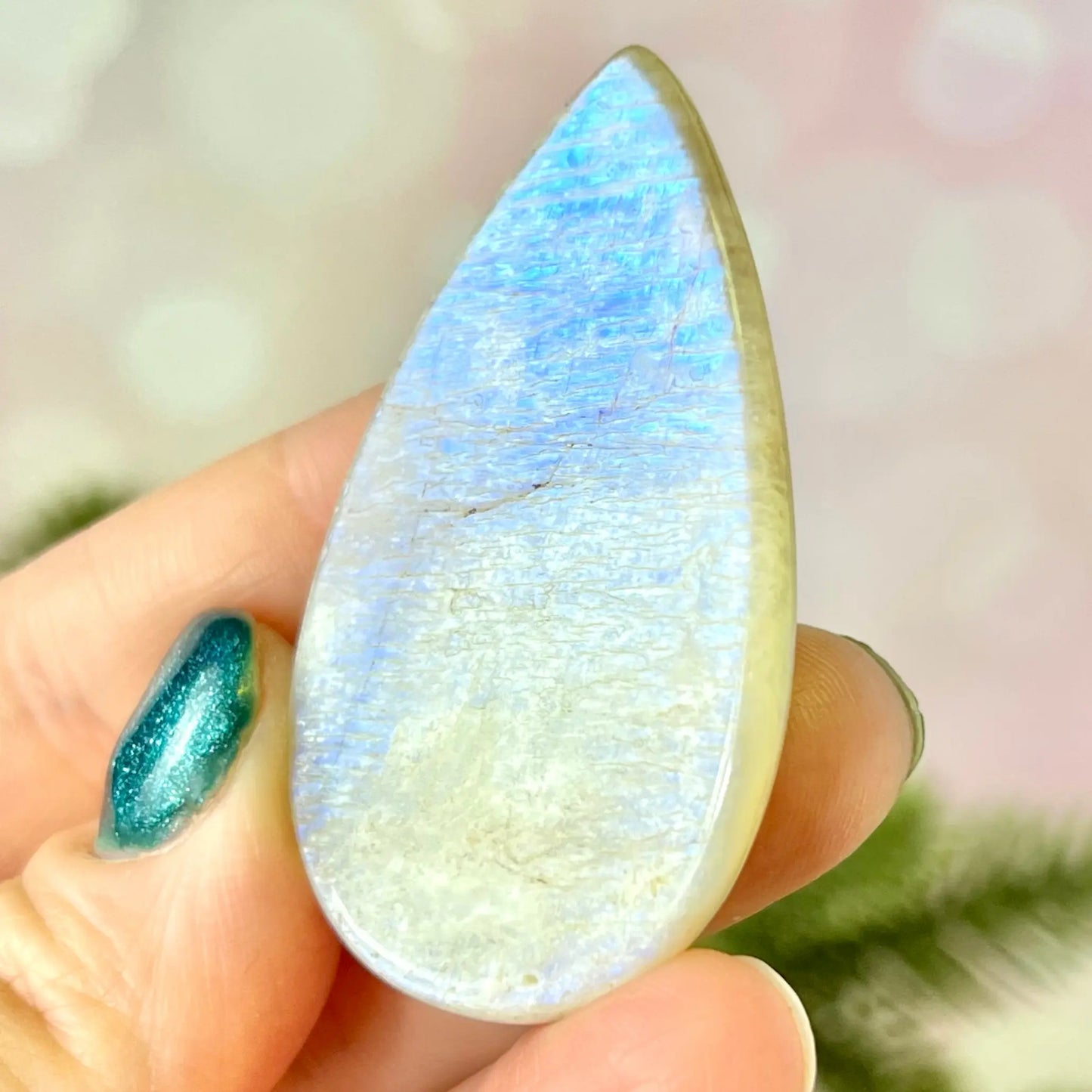 Teardrop-shaped rainbow moonstone held in a hand with blurred background