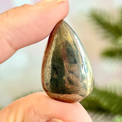 Teardrop shaped pyrite and schist stone cabochon