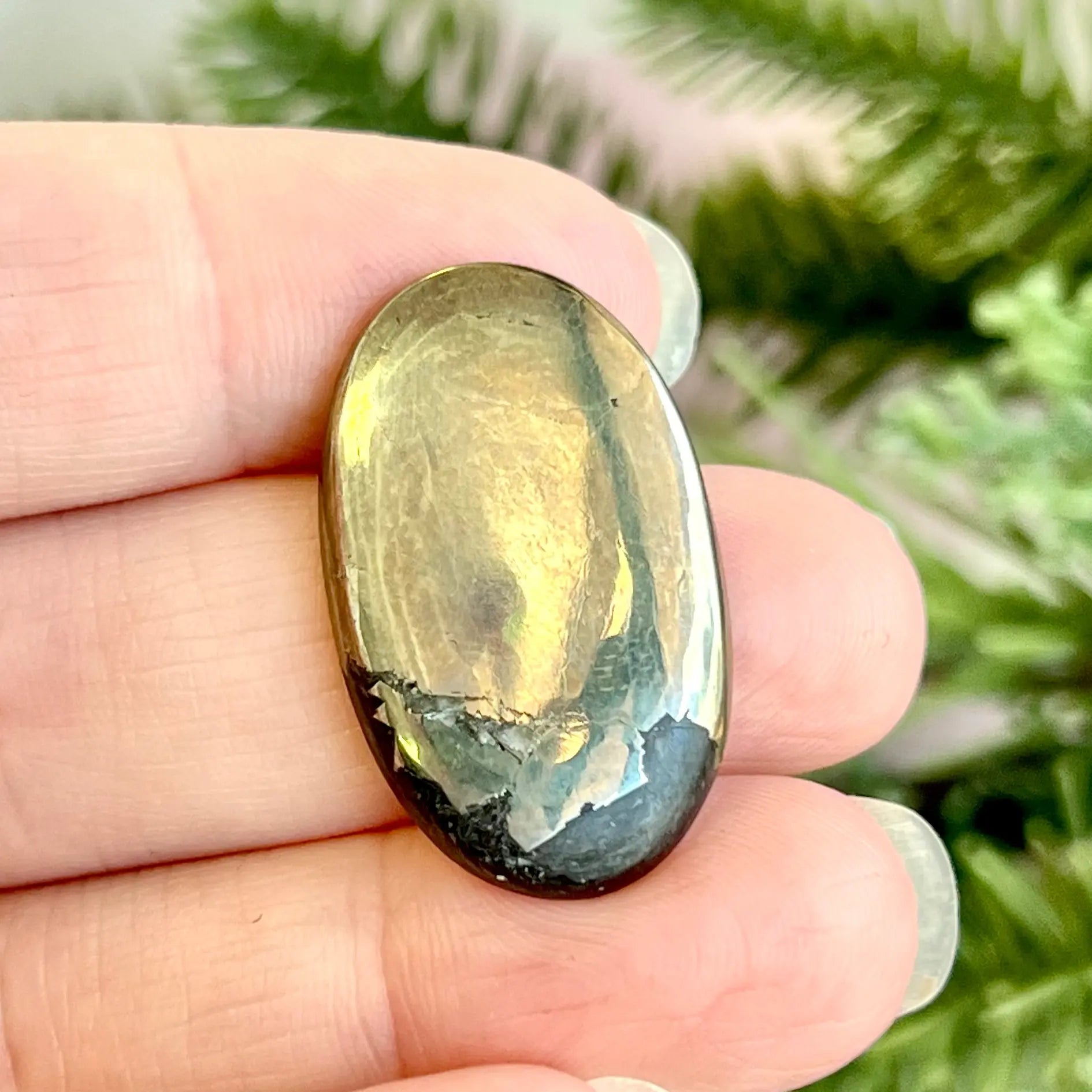 Oval shaped pyrite and schist stone cabochon