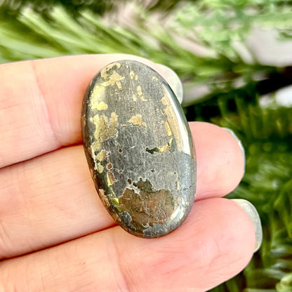 Oval shaped pyrite and schist stone cabochon