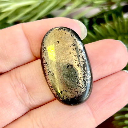Oval shaped pyrite and schist stone cabochon