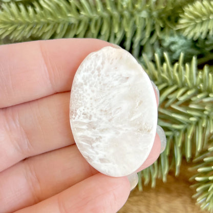Scolecite Zeolite Oval Cabochon