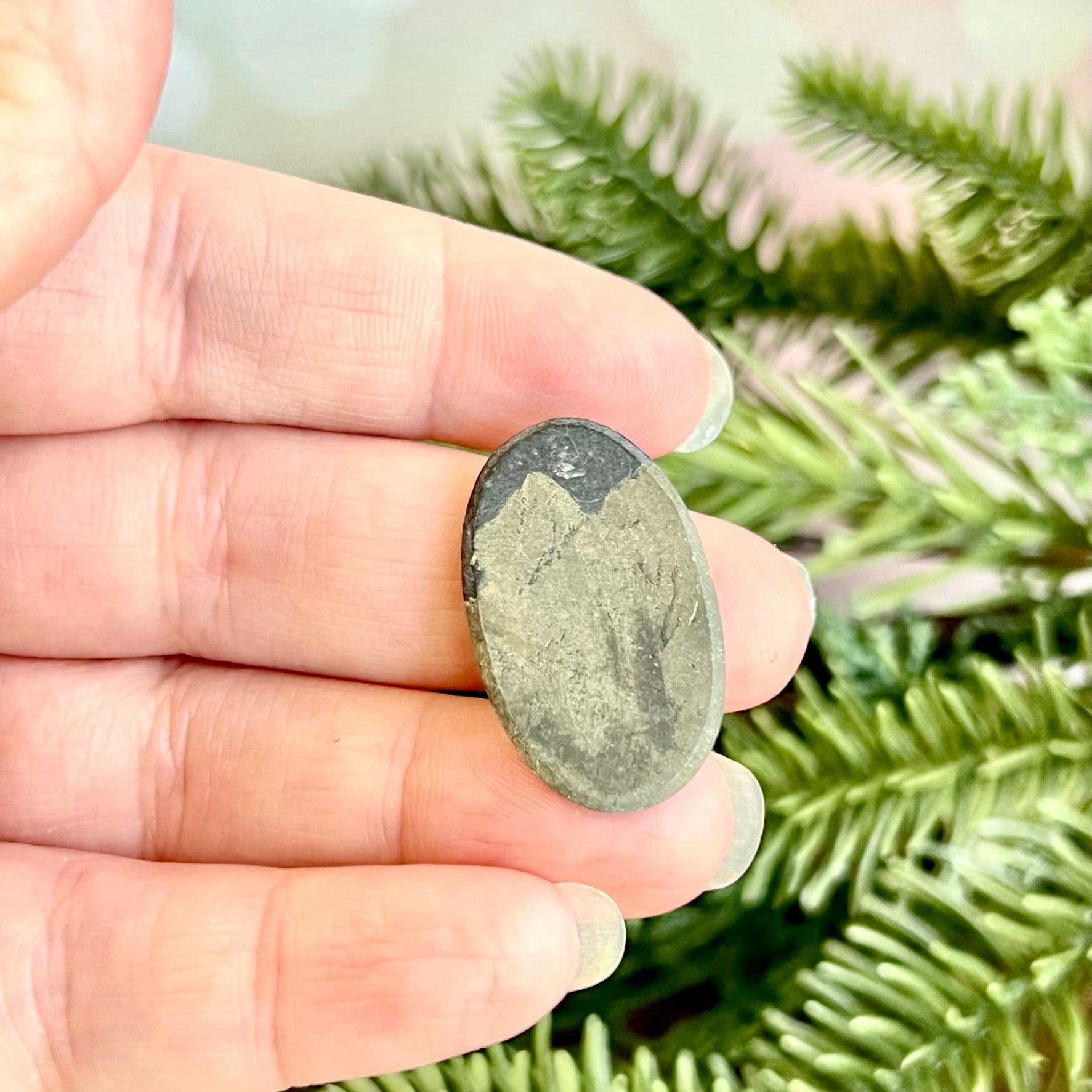 a person holding a rock in their hand