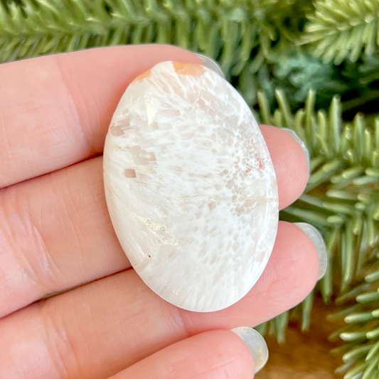 a person holding a white rock in their hand