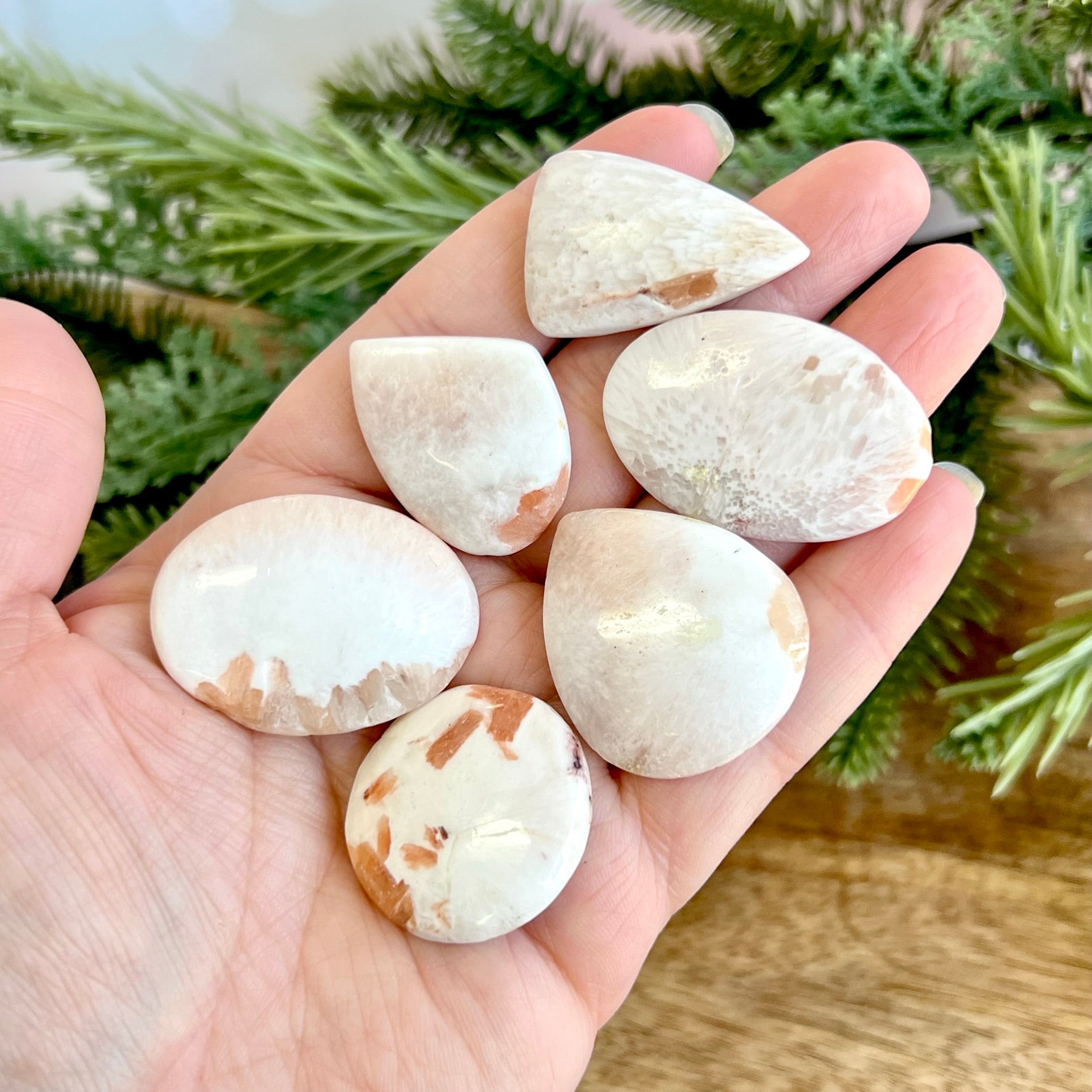 a person holding five rocks in their hand