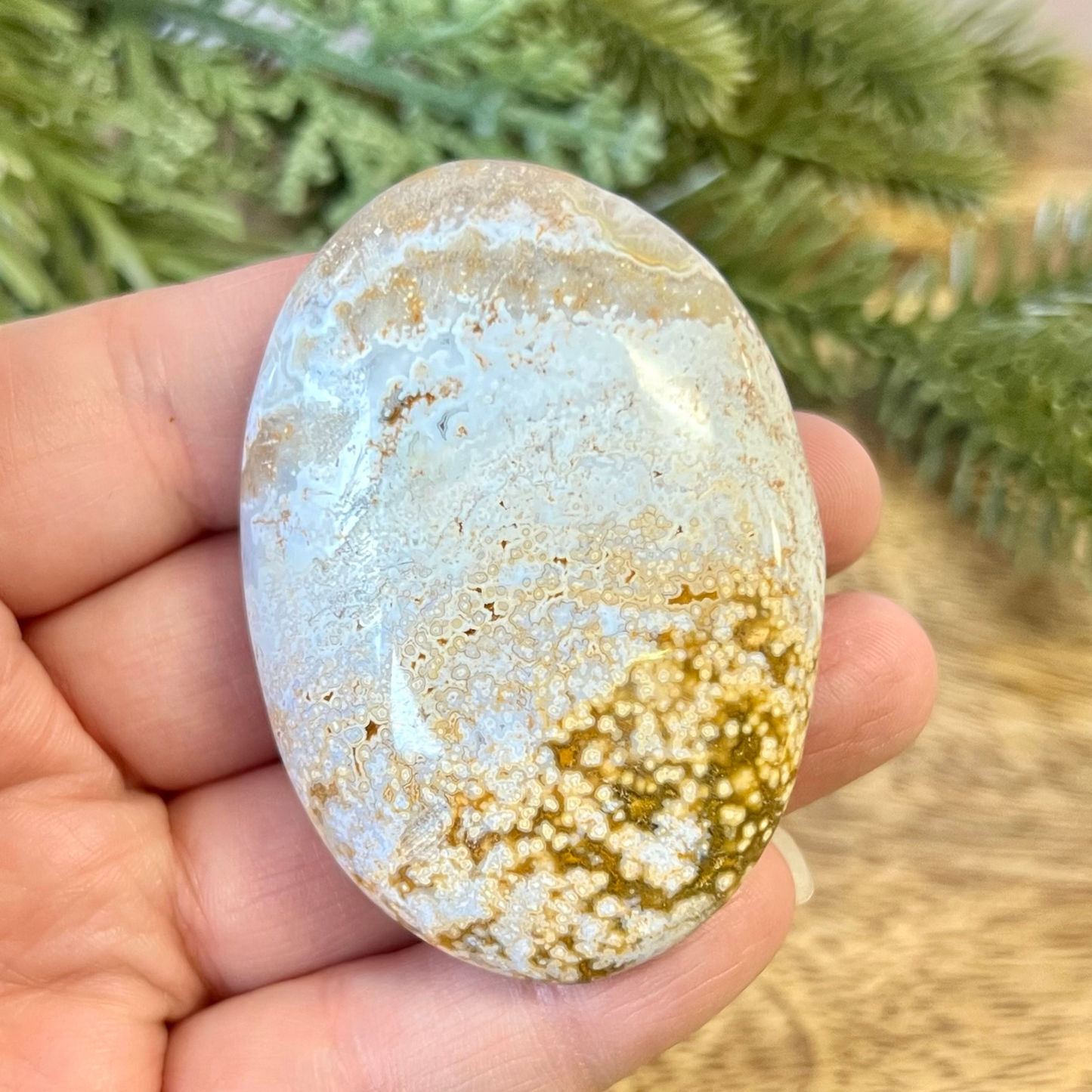 a person holding a rock in their hand