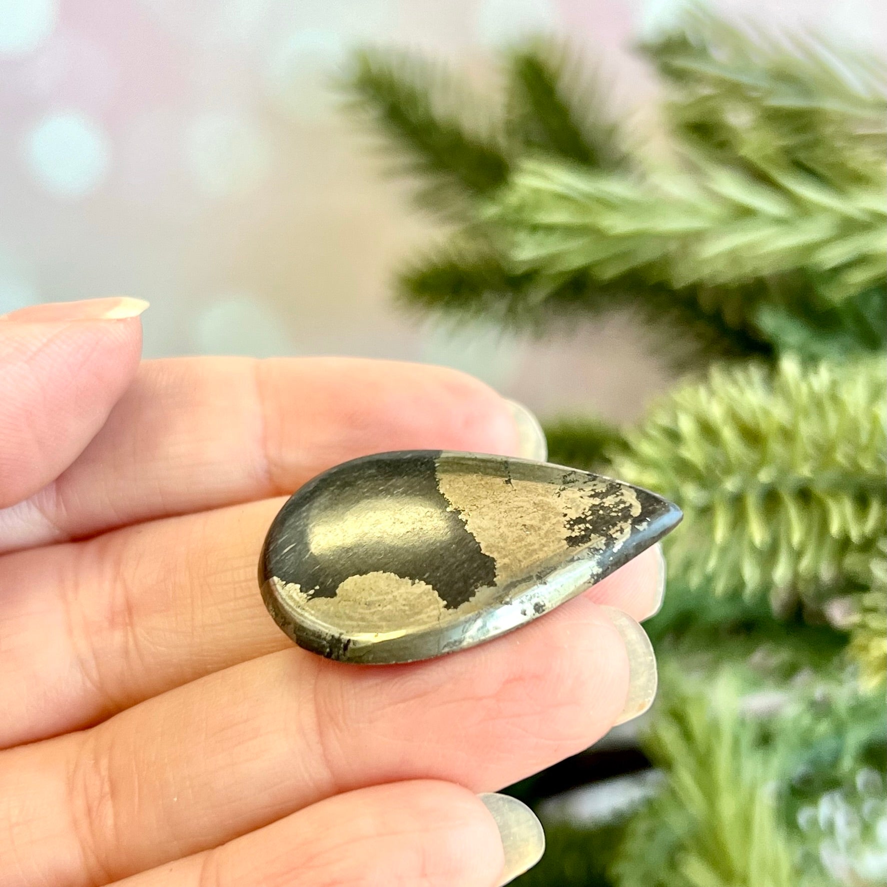 a person holding a rock with a tree in the background