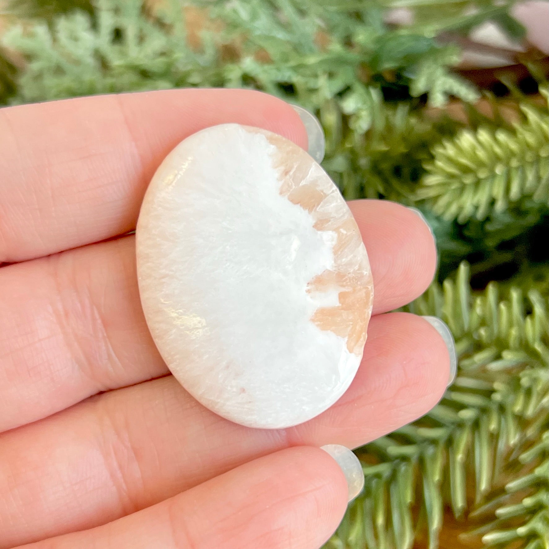 a person holding a rock in their hand