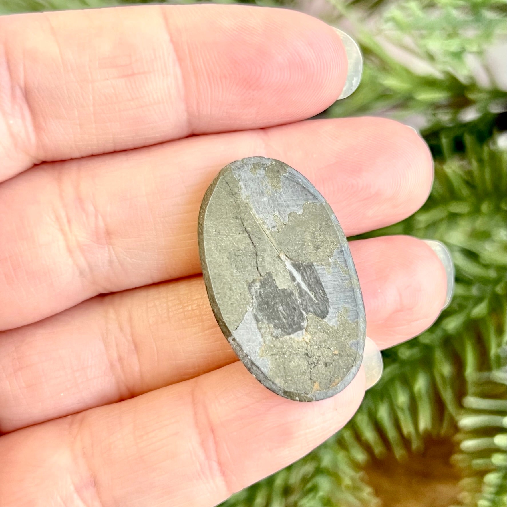 a person holding a rock in their hand